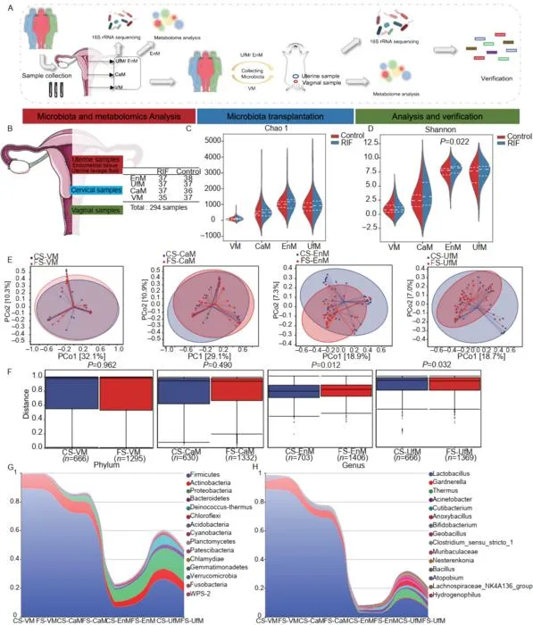 Comparison of the diversity and composition of the microbiota between the RIF and control groups