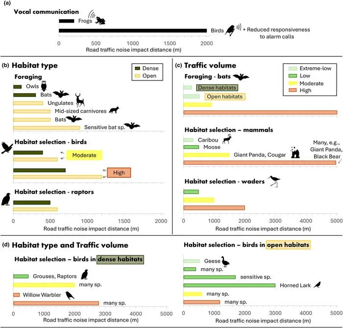 Visual representation of key findings from the literature synthesis