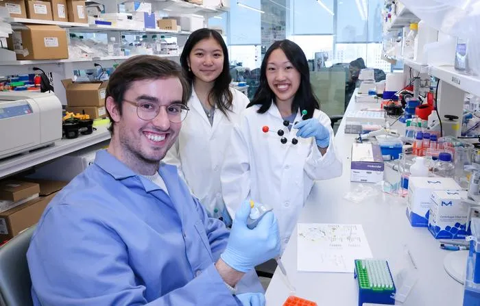 The Researchers