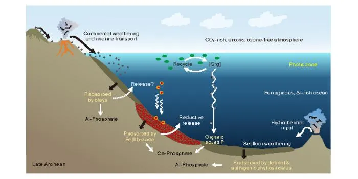 schematic diagram