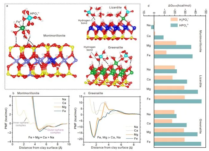 Molecular simulation