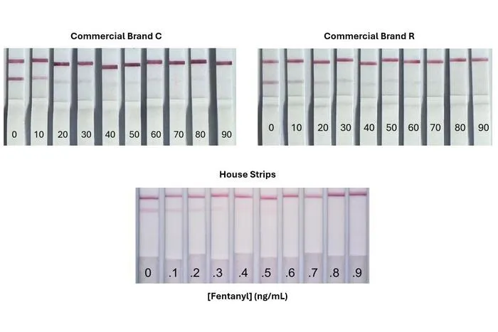 House-made fentanyl test strips