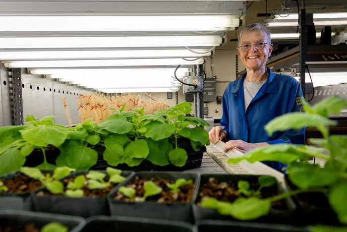 Plants in the lab