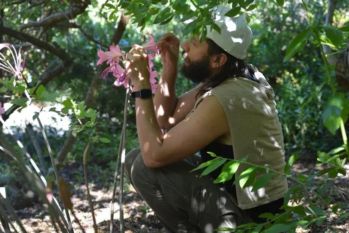 Collecting nectar