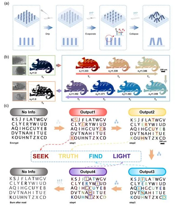 Figure 2 Time-programmable structural colors for optical information encryption.