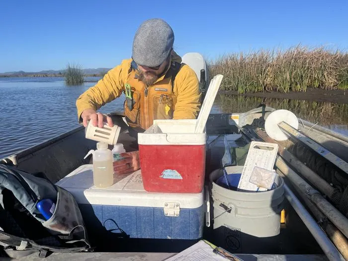 Kyle Phillips preserves zooplankton