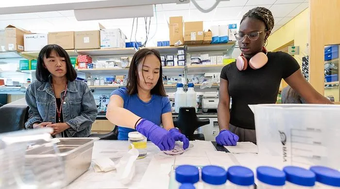 Researchers in the lab of Assoc. Prof. Nicolas Chevrier prepare samples for Array-seq