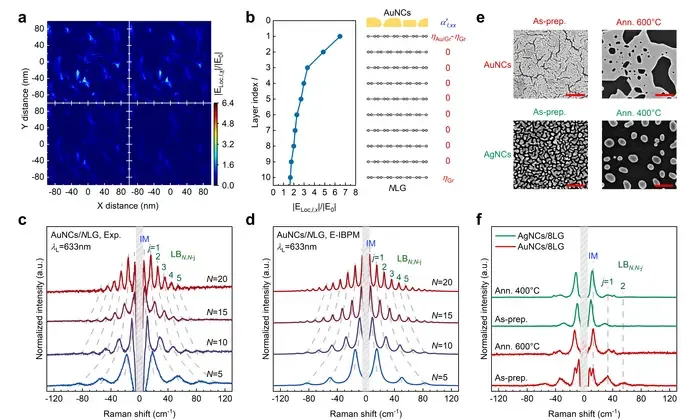 Figure | Electric-field-modulated interlayer bond polarizability model for plasmon-enhanced LB modes in AuNCs/NLG.