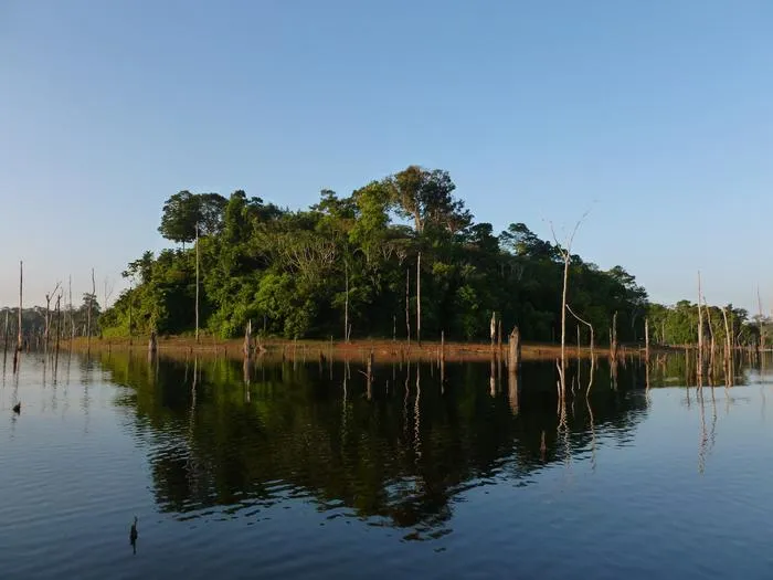 Amazonian forest island
