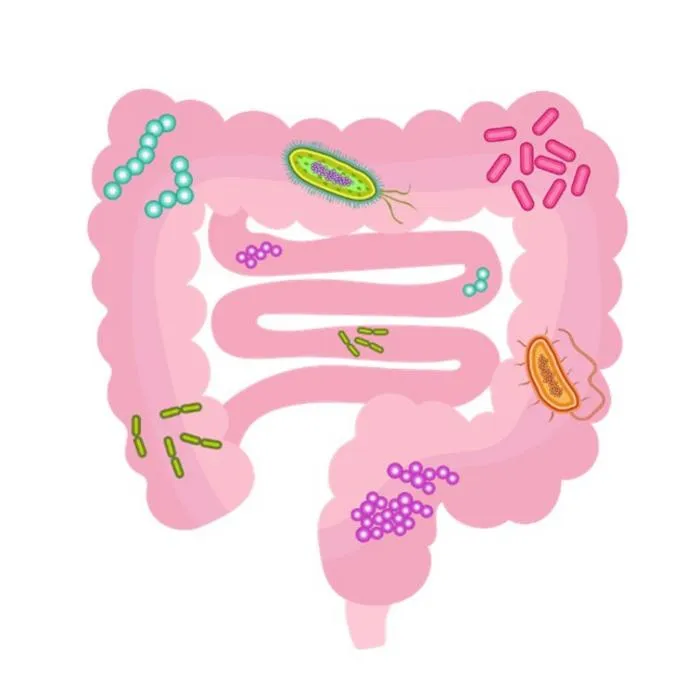 Gut microbes communicate through metabolites
