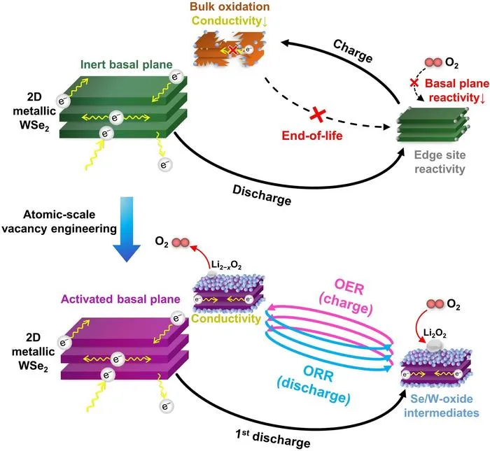 [Figure 1] Activation of the Base Surface and Catalytic Reaction Mechanism of Two-Dimensional Metallic WSe₂ Material