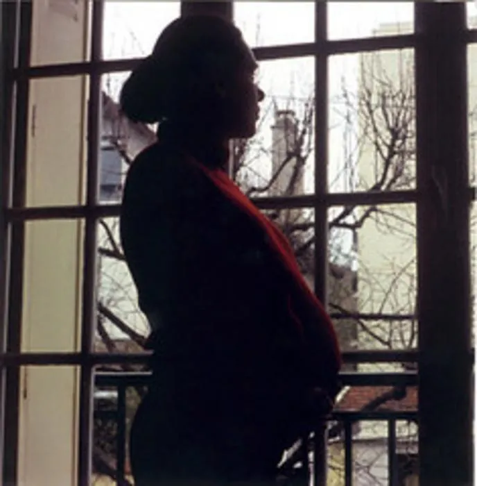 Exploring the Link Between Antibiotic Use and Psychological Distress among Pregnant Women