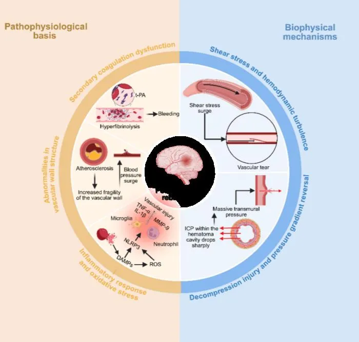 Fig. 2. Mechanisms of postoperative rebleeding.