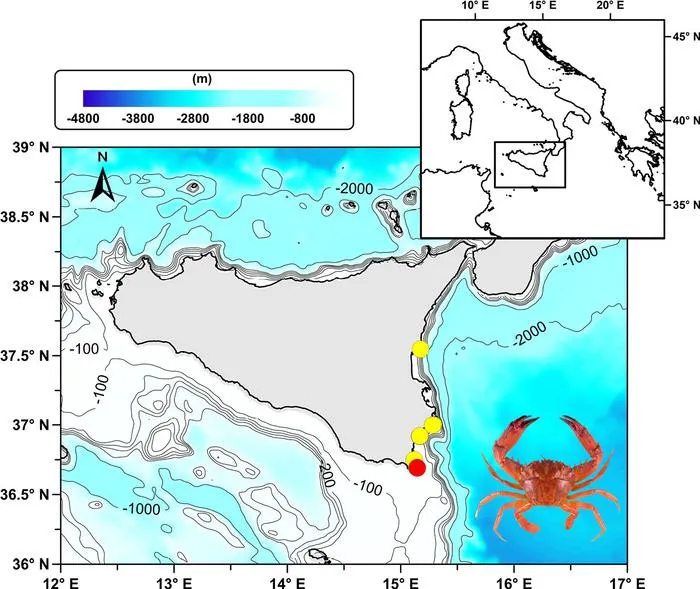 Distribution map of Gonioinfradens giardi