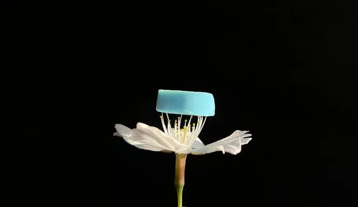 Porous Nanofibrils Spun from Supramolecules with Intrinsic Cavities