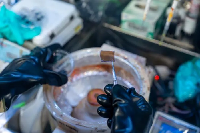 2D perovskite film