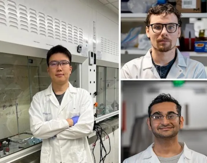 researchers