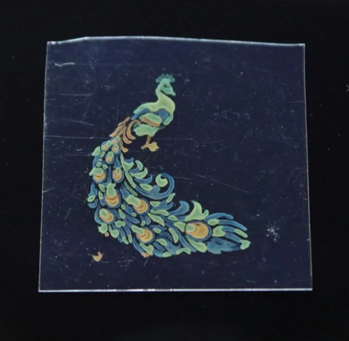 260403-Sugimoto-Inkjet-Peacock_multi