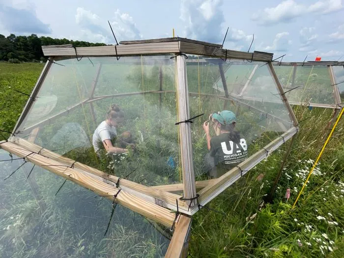 Simulating the effects of warming