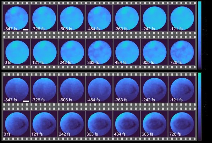 Experimental results