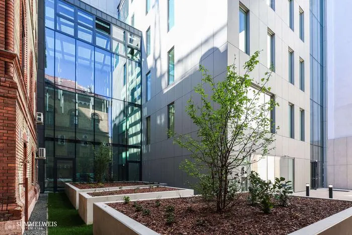 AICER inaugurated at Semmelweis University, Budapest, Hungary