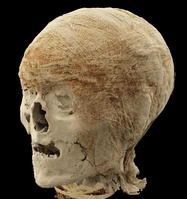 Egyptian male mummy head