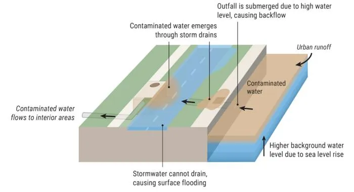 Illustration of contaminated backflow