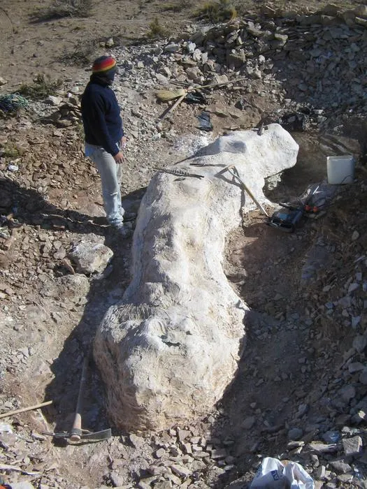 Fossil extraction
