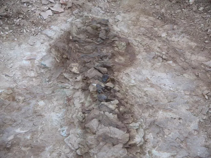 Fossil extraction