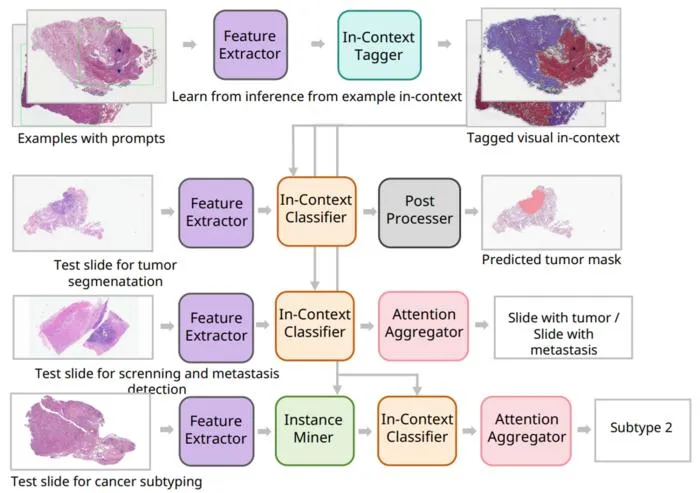 Multiple pathology diagnostic tasks