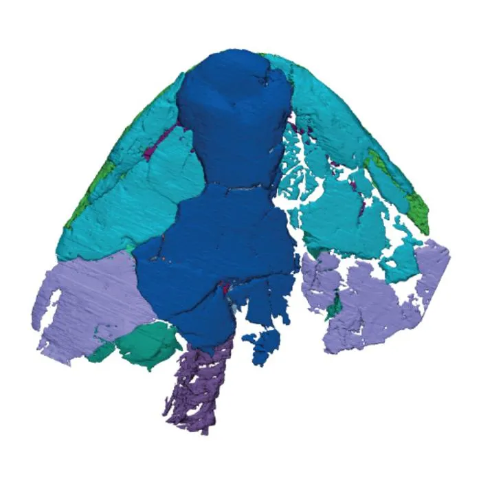 3D image