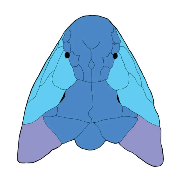 Reconstruction