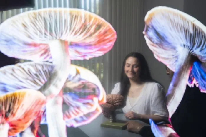 TBI-psychedelics