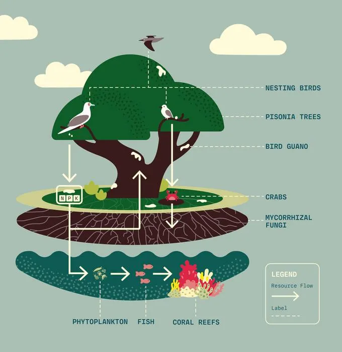 Graphical abstract
