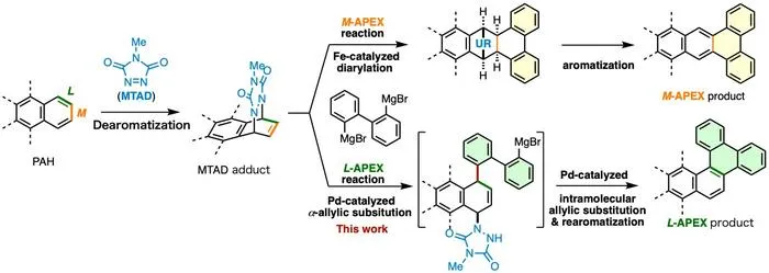 Previous M-APEX and new L-APEX reaction scheme