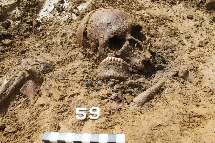 A woman's skull, approximately 1,400 years old