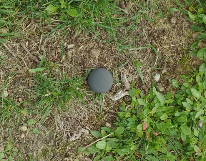 A sphere in diffuse light