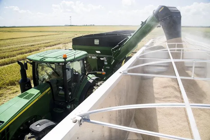 Rice harvester