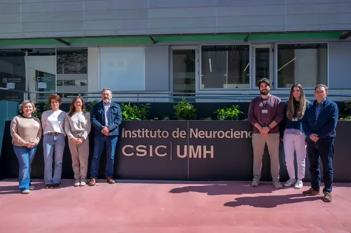 Researchers identify a key mechanism in the degeneration of motor neurons in ALS