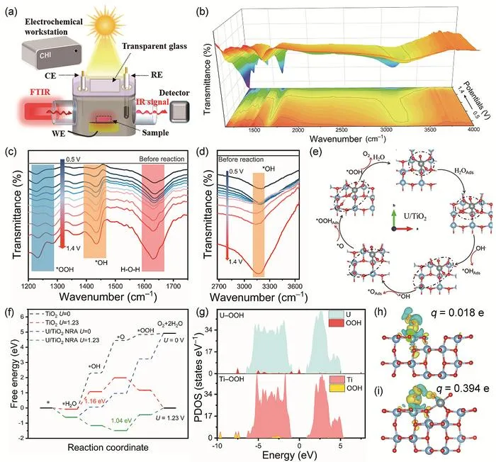 Catalytic enhancement mechanism of asymmetric U−O−Ti sites.