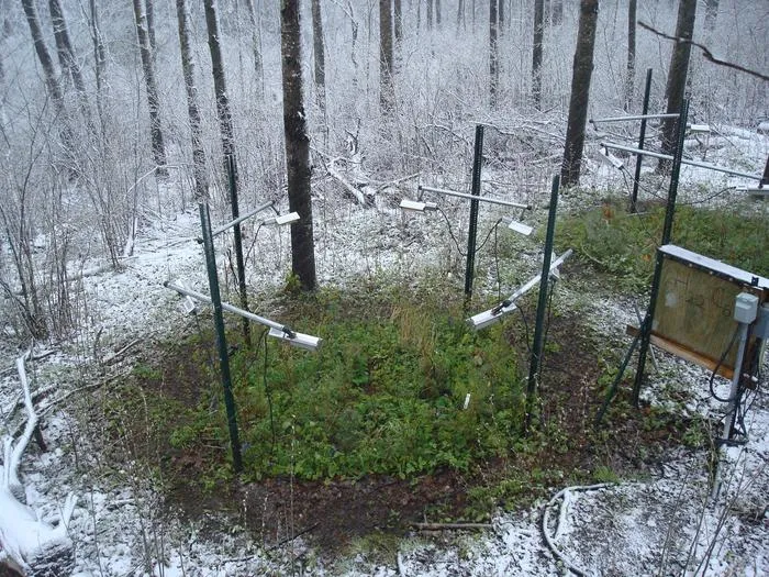 B4WarmED: A warming experiment in winter