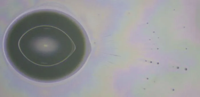 Microdroplet emissions from water droplet evaporation