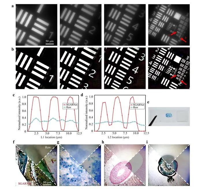 Figure 2 | Restoration results for real-object images.