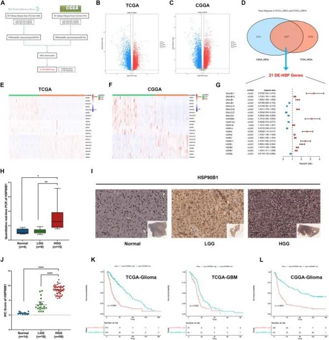 Selection of heat shock protein genes that affect the prognosis of glioma patients receiving radiotherapy
