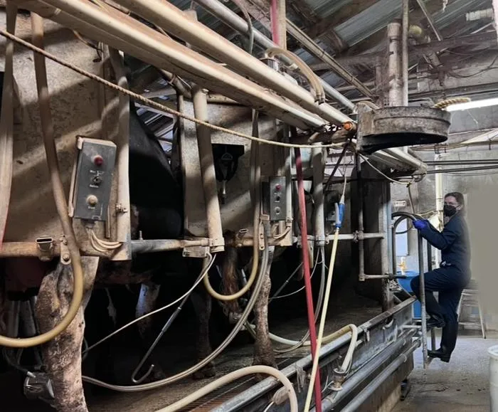 Dairy farms in California may transmit H5N1 virus through multiple sources