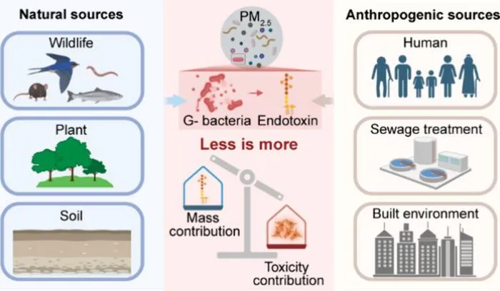 PolyU research reveals hidden health risks from urban airborne microbes: low concentration of bacterial toxins may trigger nearly 20% of inflammatory responses, while drug-resistant fungi may spread with the wind