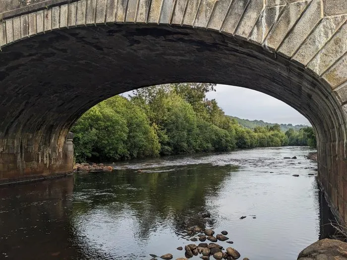 Avoca River