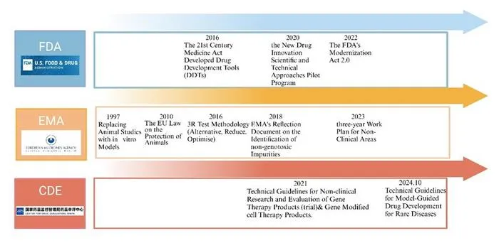 Regulatory authorities' regulations on organoid models