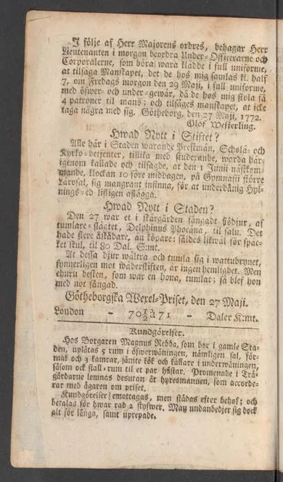 1772 Harbour porpoise observation