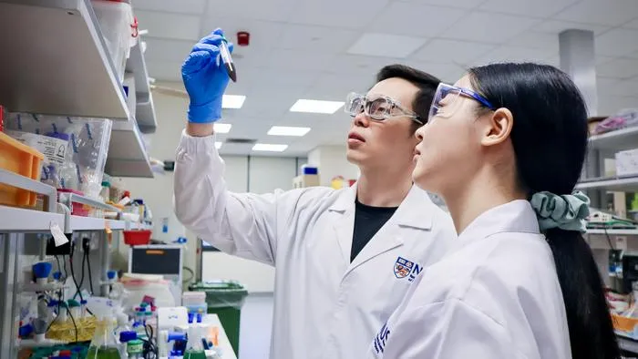 DNA barcodes help NUS researchers pinpoint gold nanoparticles_photo 3